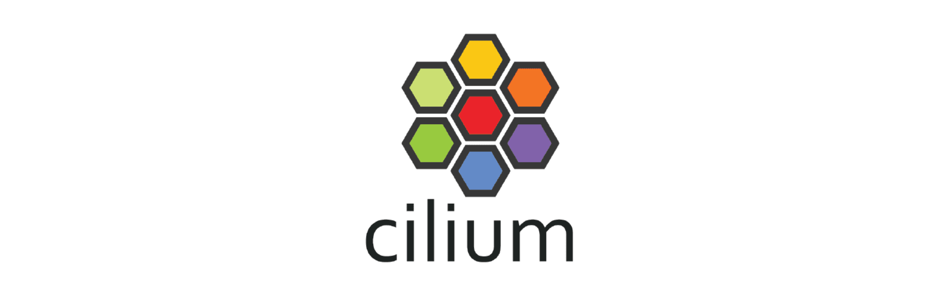 Cilium : the future of cloud native network solutions ?